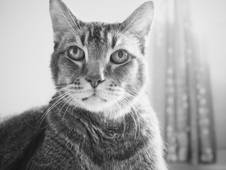 Processed with VSCOcam with b1 preset