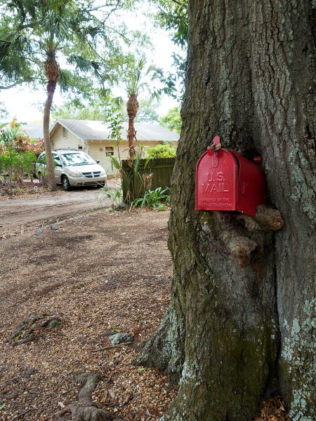 Gulfport_TreeMailbox